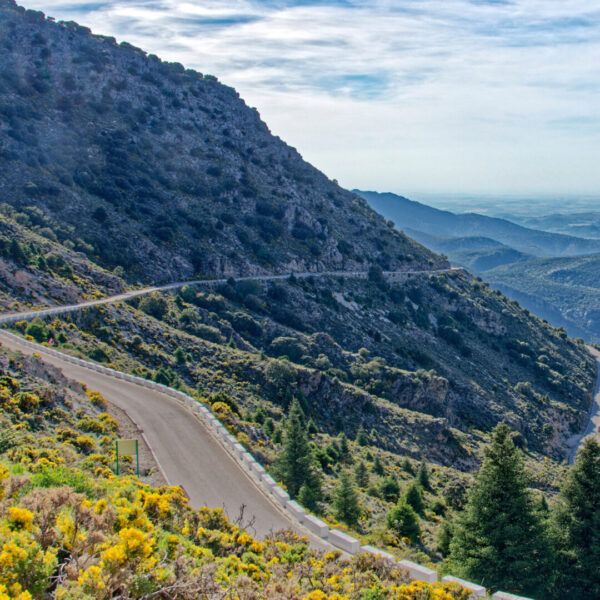 Sierra_Nevada_fota2